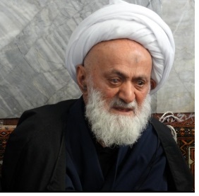 محمدجواد محامدی.jpg