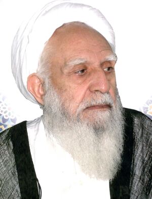 محمدعلی میرمعزی.jpg